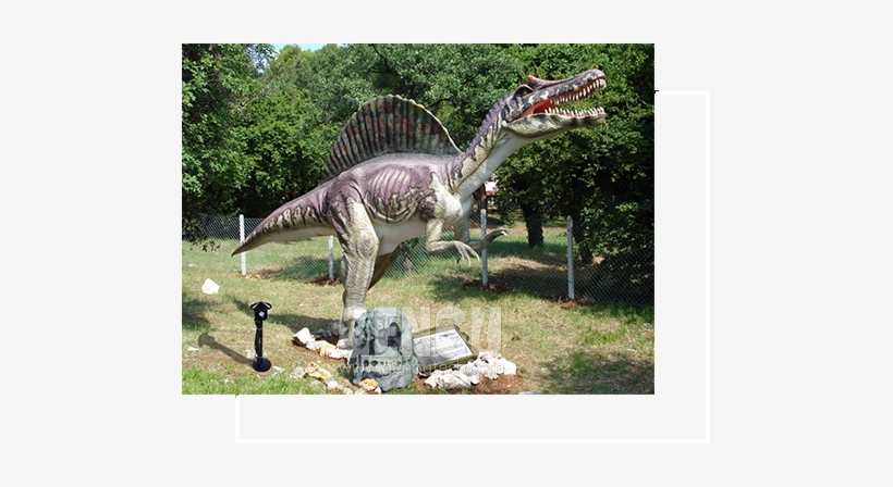 Accessories - Dinosaur, transparent png download