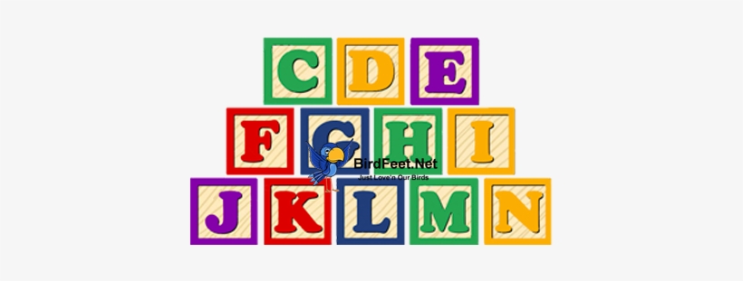 Superbird, Alphabet Blocks - Wooden Alphabet Blocks, transparent png download