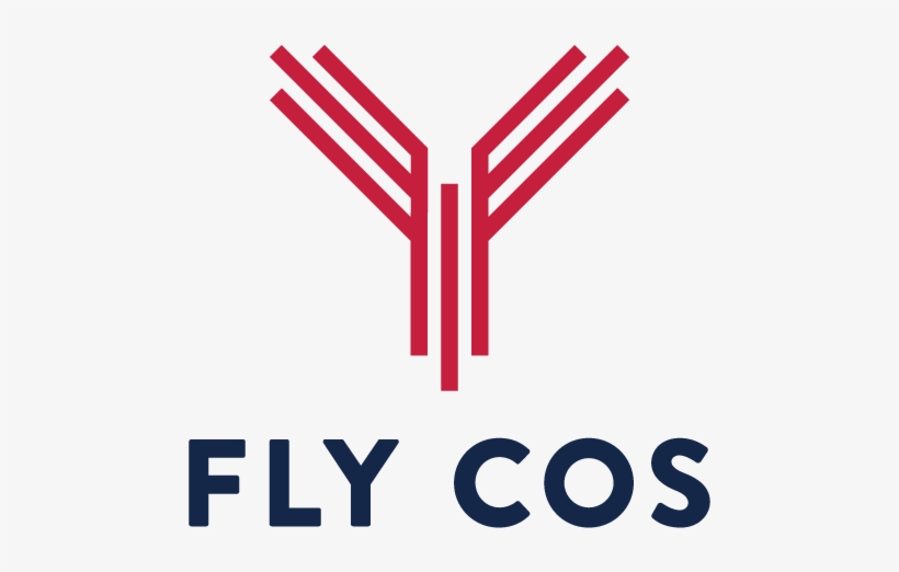 Colorado Springs Airport Logo, transparent png download