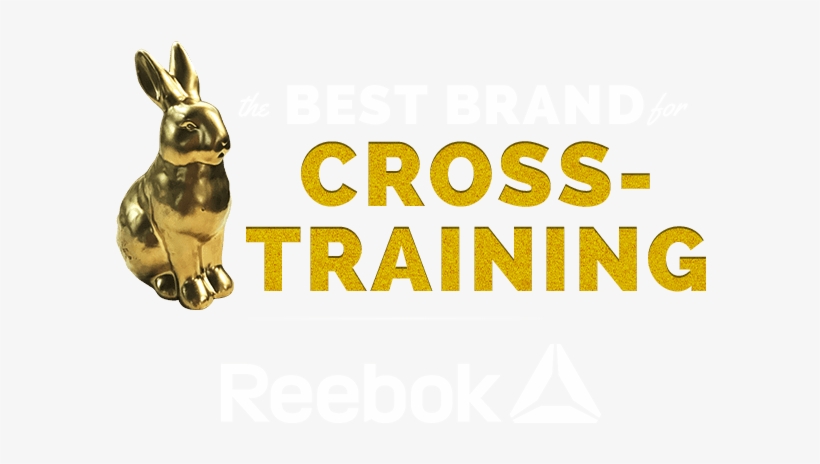 Cross-training Is An Integral Part Of Any Modern Runner's - Hare, transparent png download
