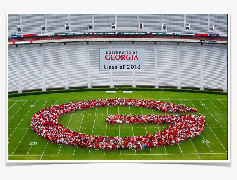 Uga Class Of - Georgia Bulldogs, transparent png download