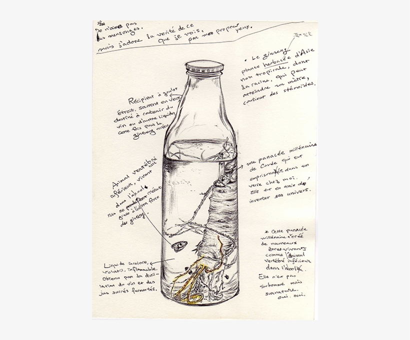 Glass Bottle, transparent png download
