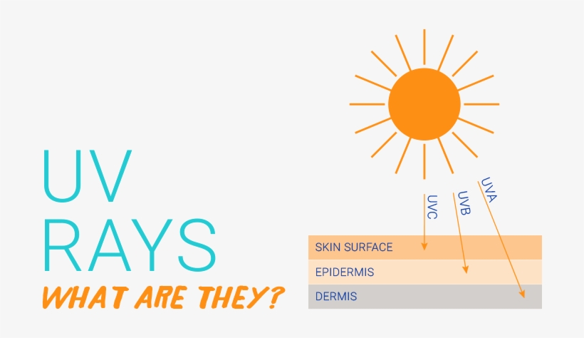 The Sunlight That Reaches Us Is Made Up Of Two Types - Graphic Design, transparent png download