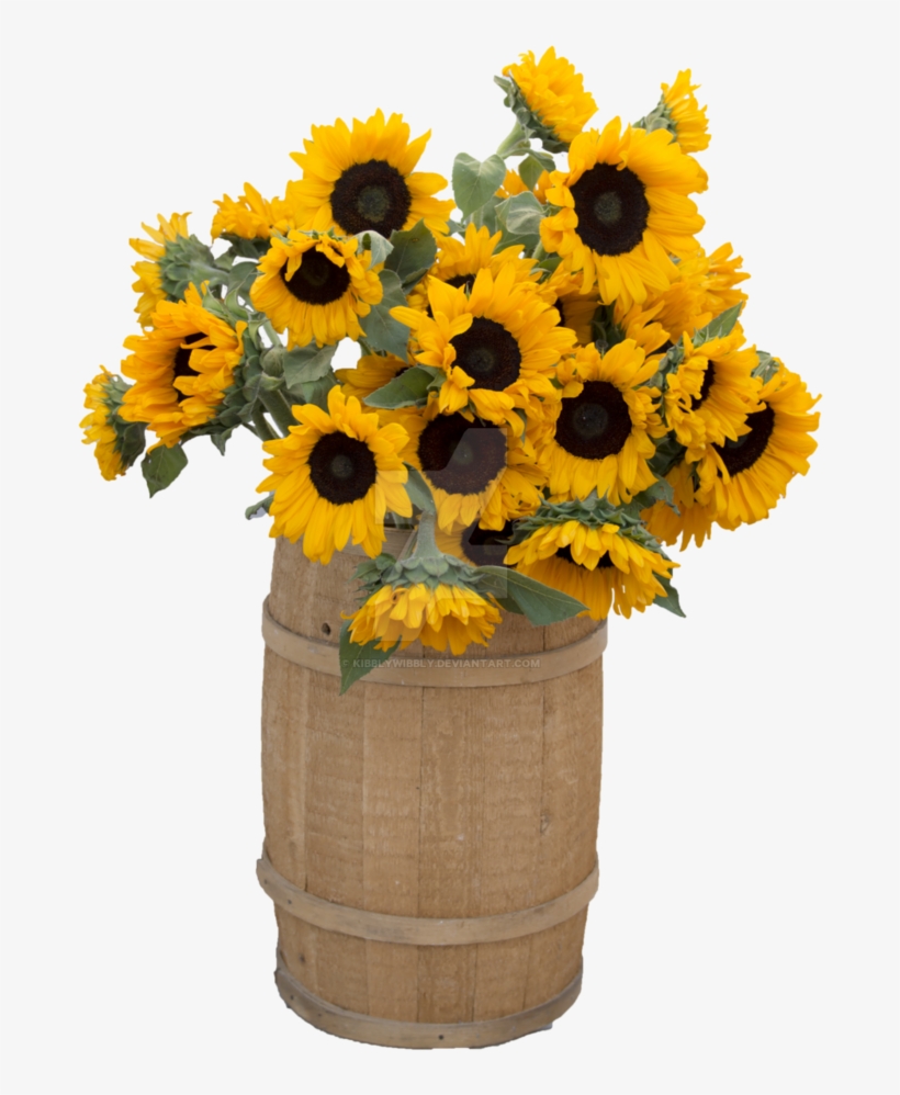 Sunflower Barrel Png Cut Out By Kibblywibbly On Deviantart - Common Sunflower, transparent png download