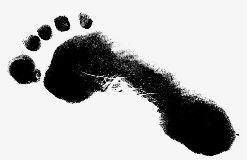 White Footprint Png Clip Library - Footprint Png, transparent png download