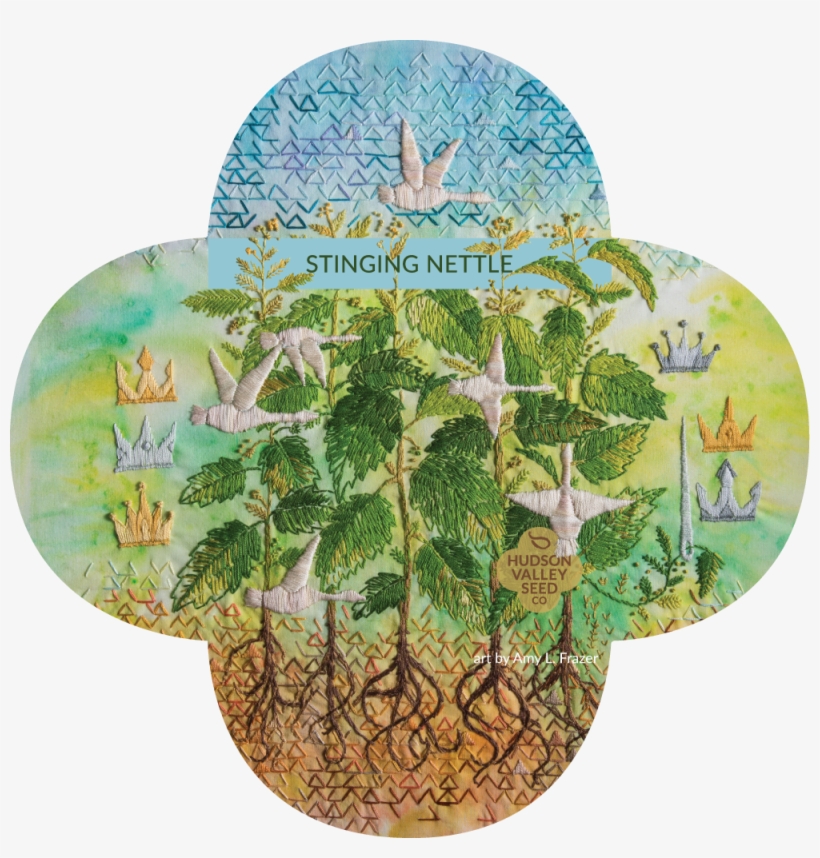 Oe Stinging Nettle - Common Nettle, transparent png download