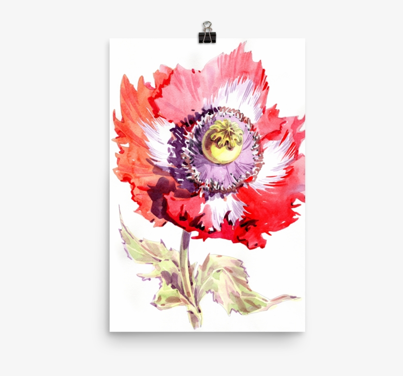 Bright And Floral Poppy Watercolour Matte Poster - Watercolor Painting, transparent png download
