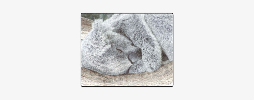 Sleeping Koala Blanket - Sleeping Koala Canvas Print - Small By Mehrfarbeimleben, transparent png download
