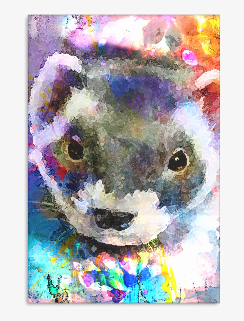 Ferret Canvas P46 - Product, transparent png download