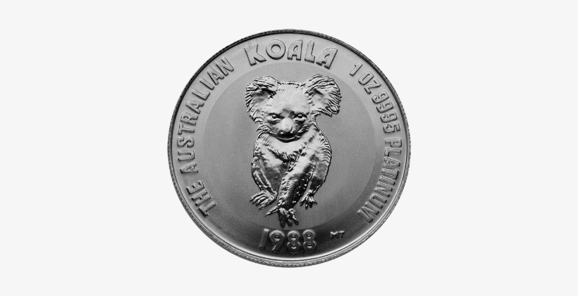 Platinum Koala, transparent png download