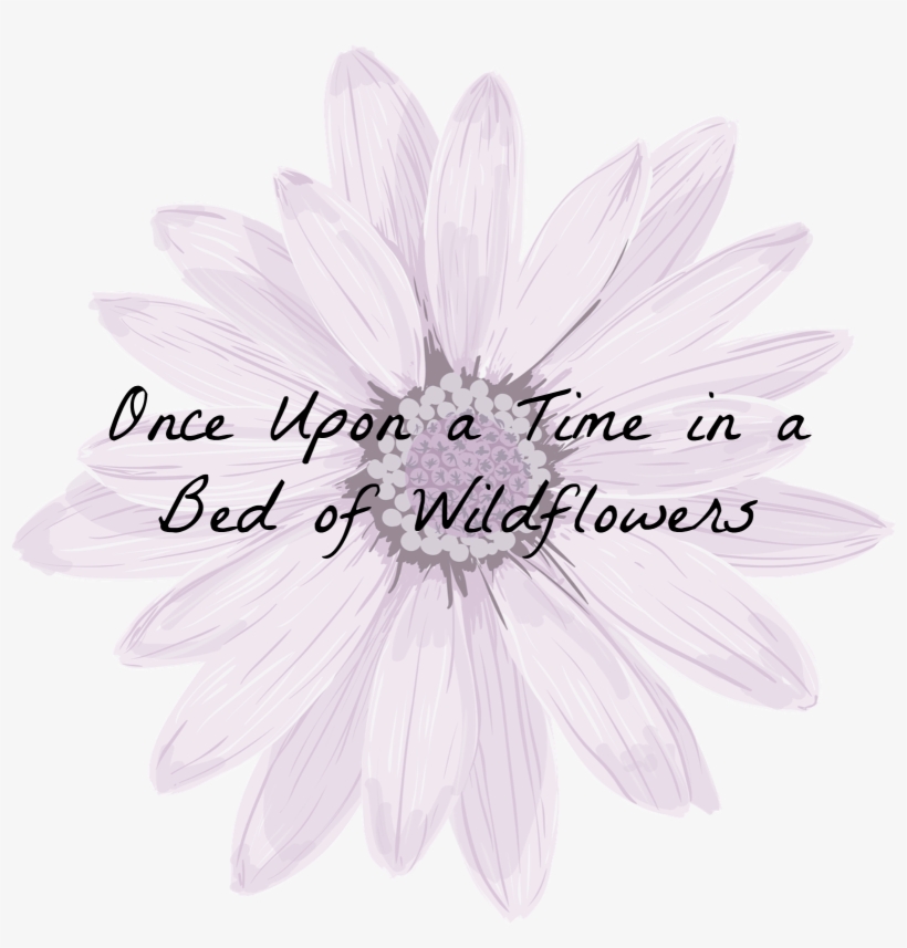 Wildflowers Wm - « - Heath Aster, transparent png download