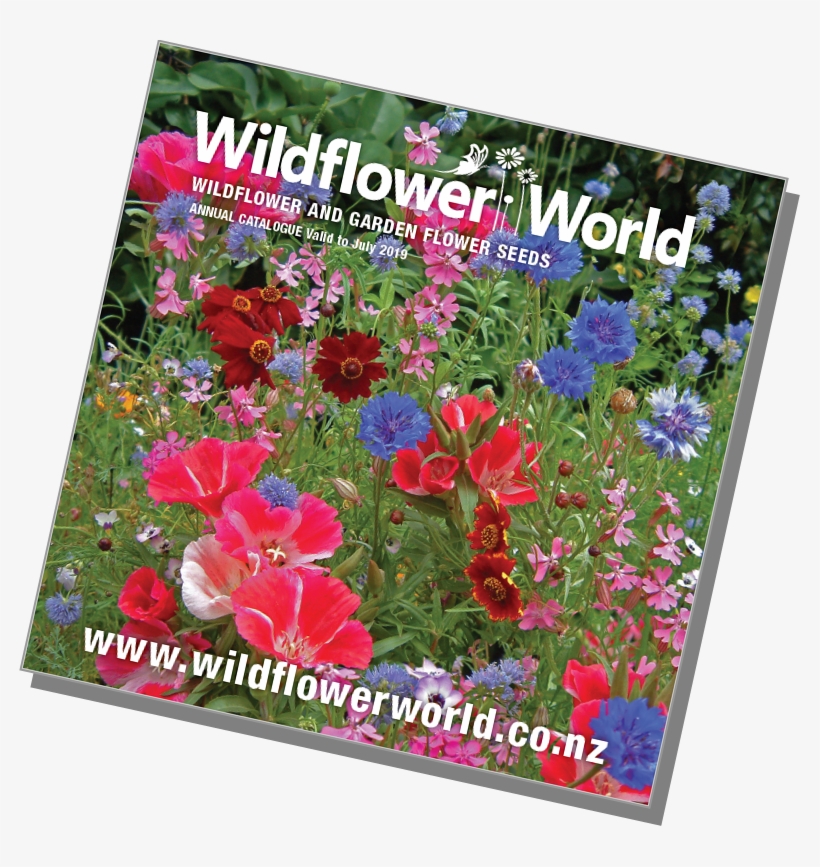 Wildflower World Catalogue - Wildflower World, transparent png download