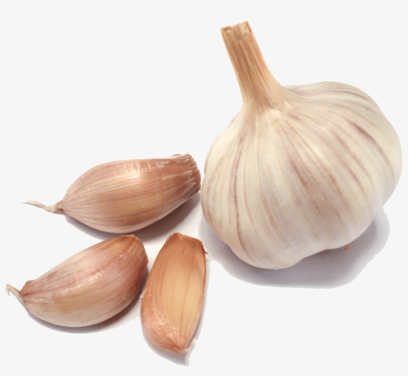 Garlic Group - Garlic Png, transparent png download