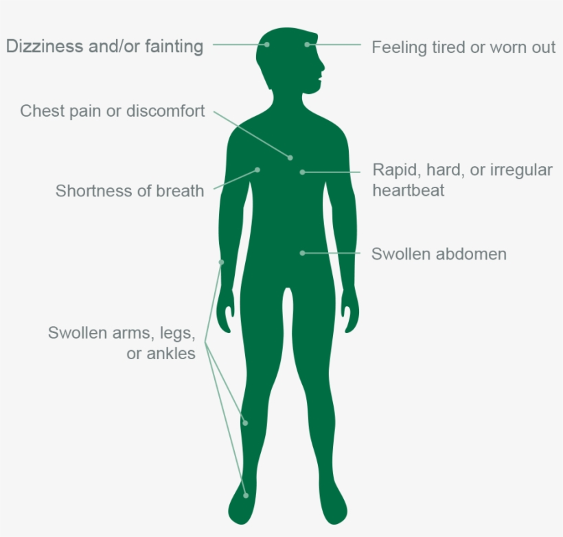 Top Pah Symptoms Image - Pulmonary Hypertension, transparent png download