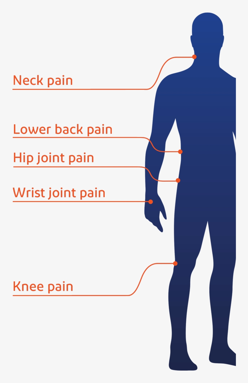 Neck Pain, Lower Back Pain, Knee Pain, Hip Joint Pain, - Pain, transparent png download