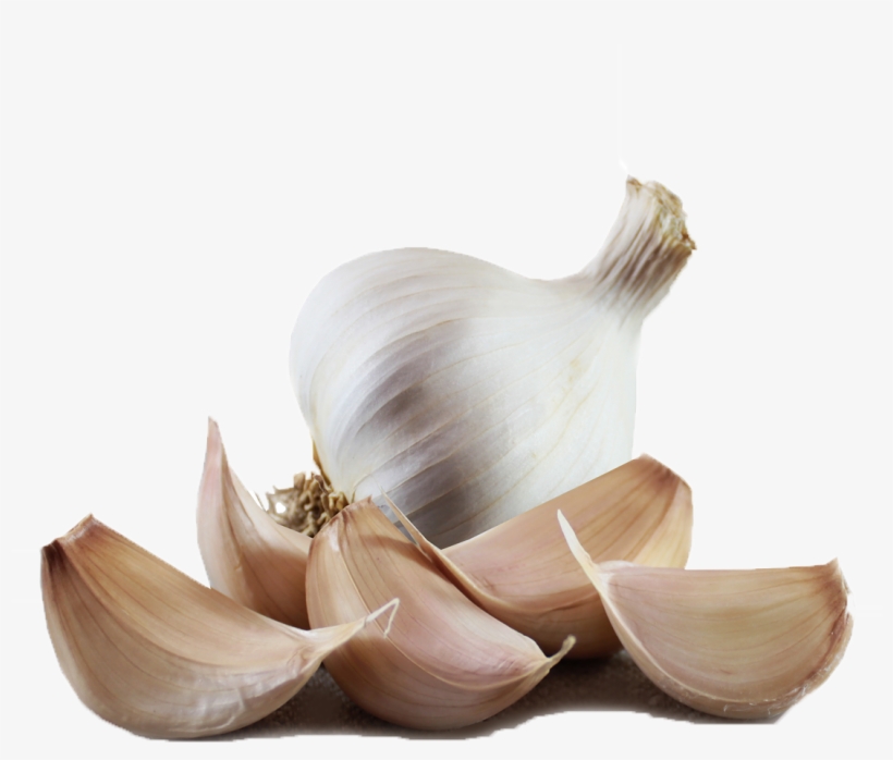 Garlic Png, transparent png download
