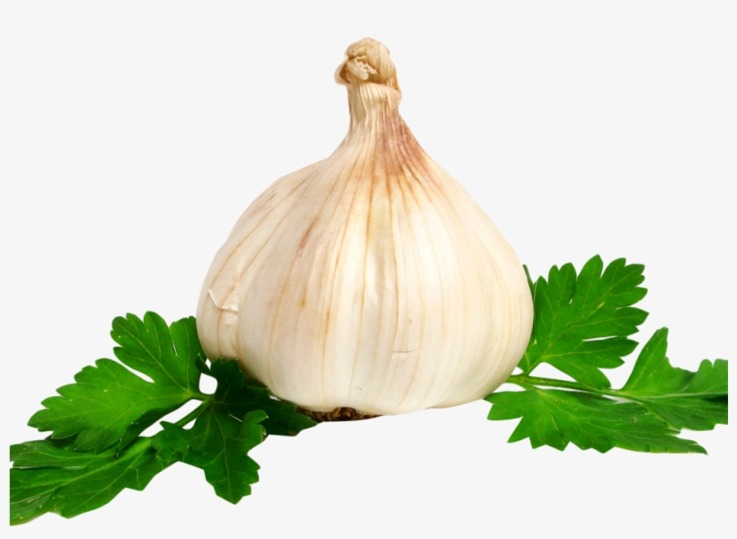 Garlic Png Image - Transparent Garlic, transparent png download