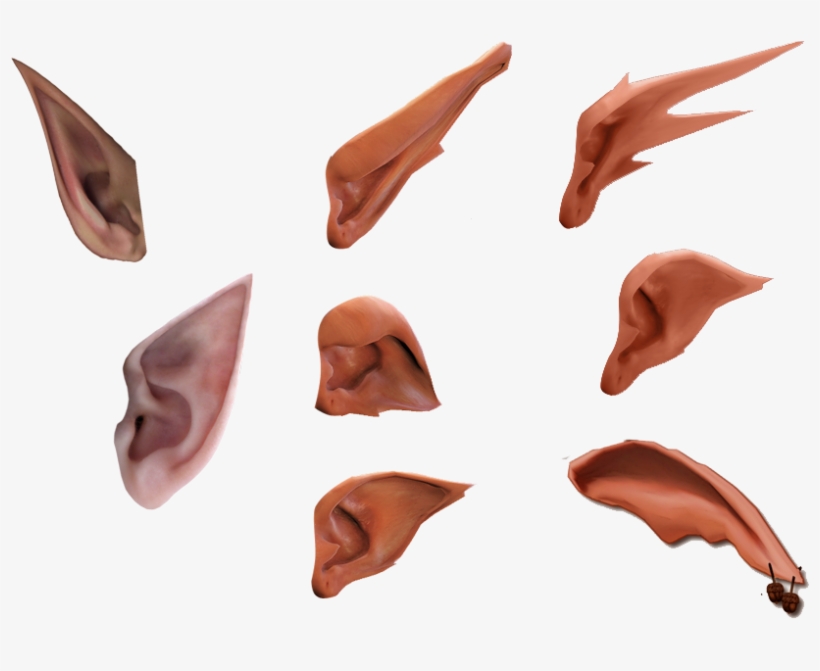 Elf Ear Png - Orejas De Elfo Png, transparent png download