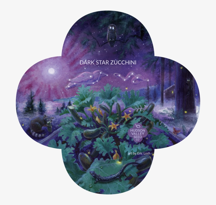 Organic Dark Star Zucchini Seeds - Dark Star Zucchini, transparent png download