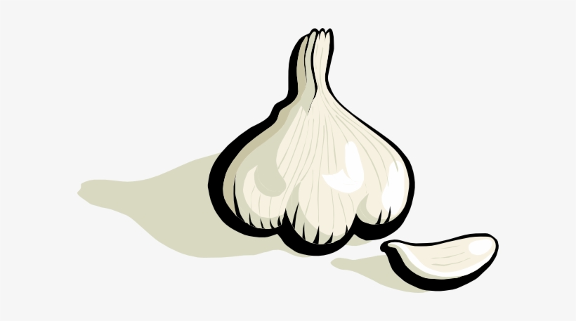 How To Set Use Garlic Clipart, transparent png download
