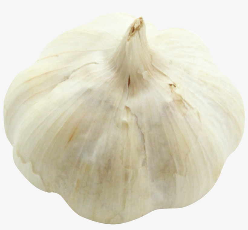 Download Garlic Png Image - Portable Network Graphics, transparent png download