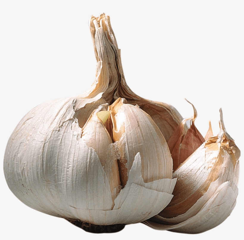 Vegetables - Garlic Clipart Transparent, transparent png download