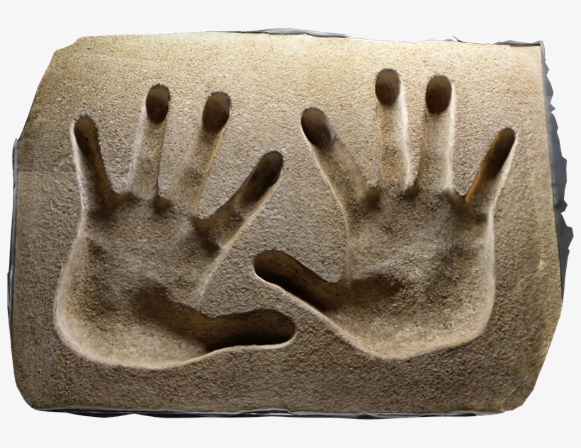 Wood, transparent png download