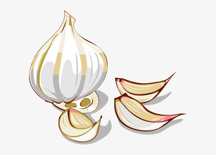 How To Set Use Garlic Svg Vector, transparent png download