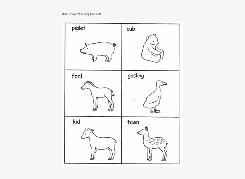 Page - Line Art, transparent png download