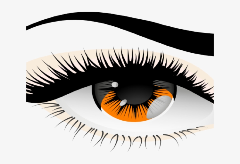 Brown Eyes Clipart Human Eye - Eye, transparent png download
