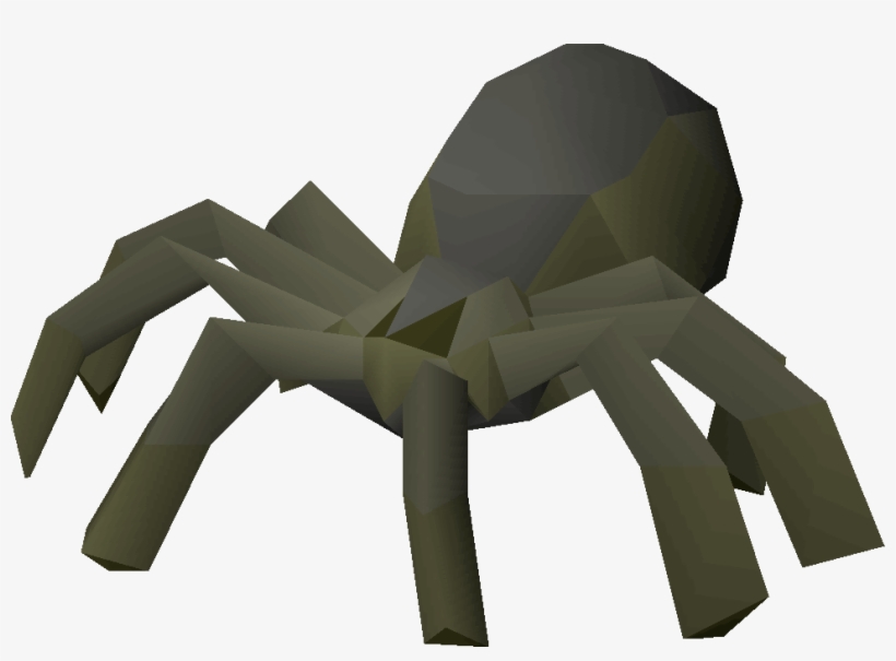 Tarantula, transparent png download