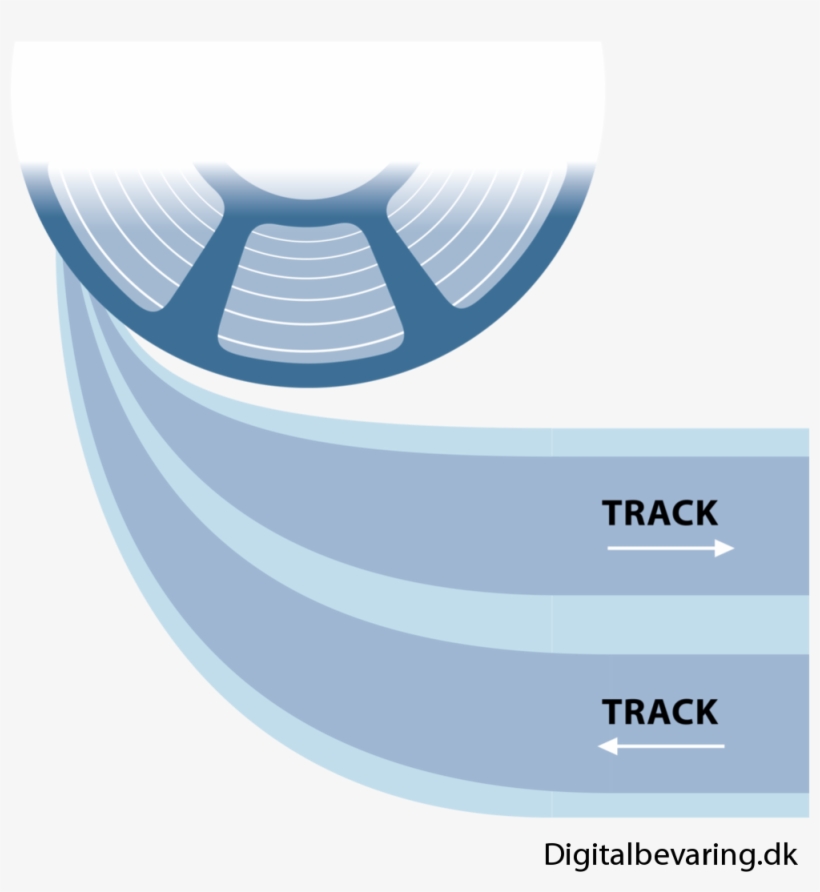 Reeltoreel2 Digitization - Jillian Michaels, transparent png download