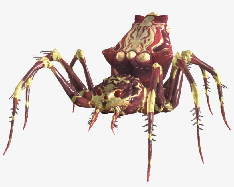 Skyrim Spider, transparent png download