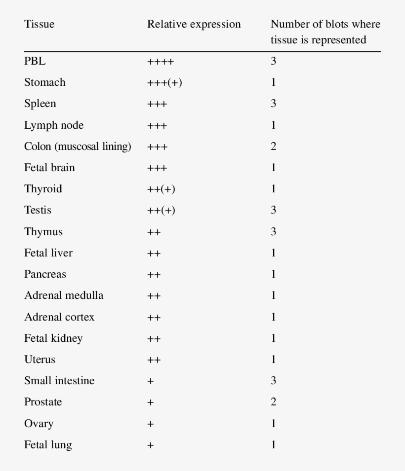 Expression Of P59oasl In Various Tissues - Measurement, transparent png download