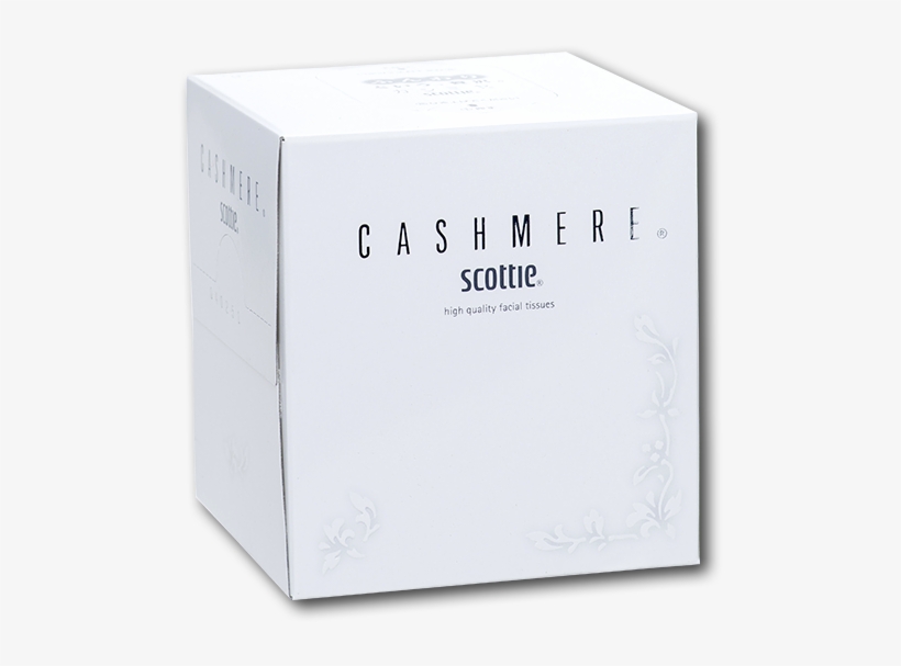 Scottie Square Type Box Tissue - Box, transparent png download