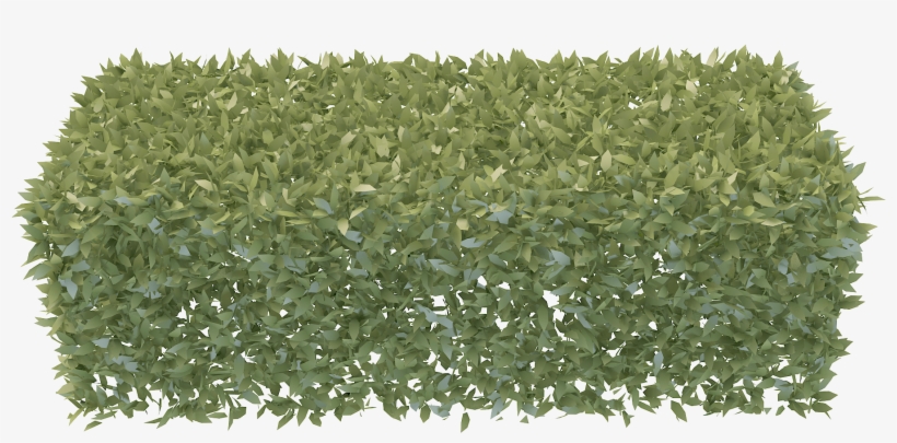 Transparent Wall Hedge - Arbustos Png, transparent png download