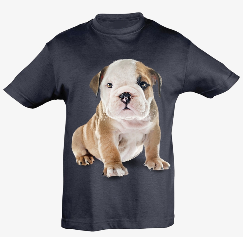 English Bulldog Cub T-shirt Kids - Olde English Bulldogge, transparent png download