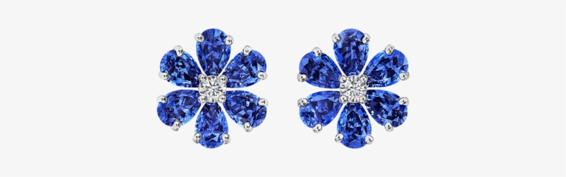 Main Navigation Section - Forget Me Not Earrings Sapphire, transparent png download