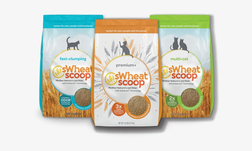 Sign Up Today - Sandwich Cookies, transparent png download