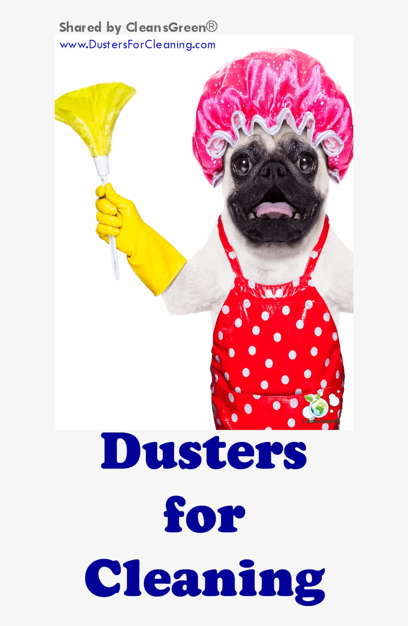There Is A Wide Selection Of Cleaning Tools Called - Pug Haciendo Limpieza, transparent png download