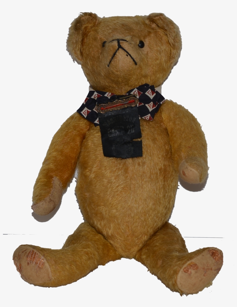 Teddy Bear, transparent png download