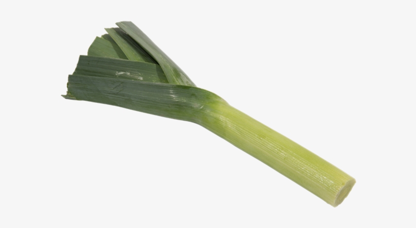 Leeks - Leek, transparent png download