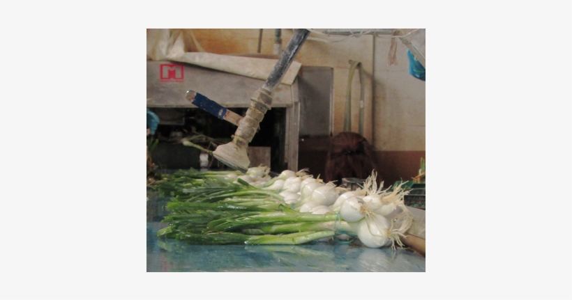 Cebollas61 - Leek, transparent png download