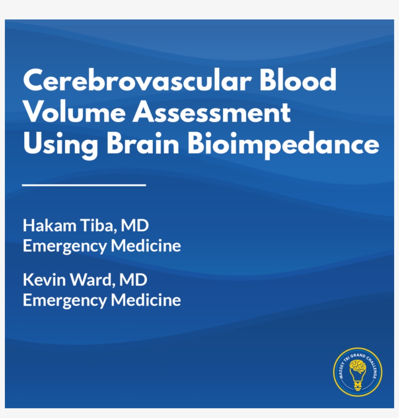 Cerebrovascular Blood Volume Assessment Using Brain - Ray And Keshavan, transparent png download