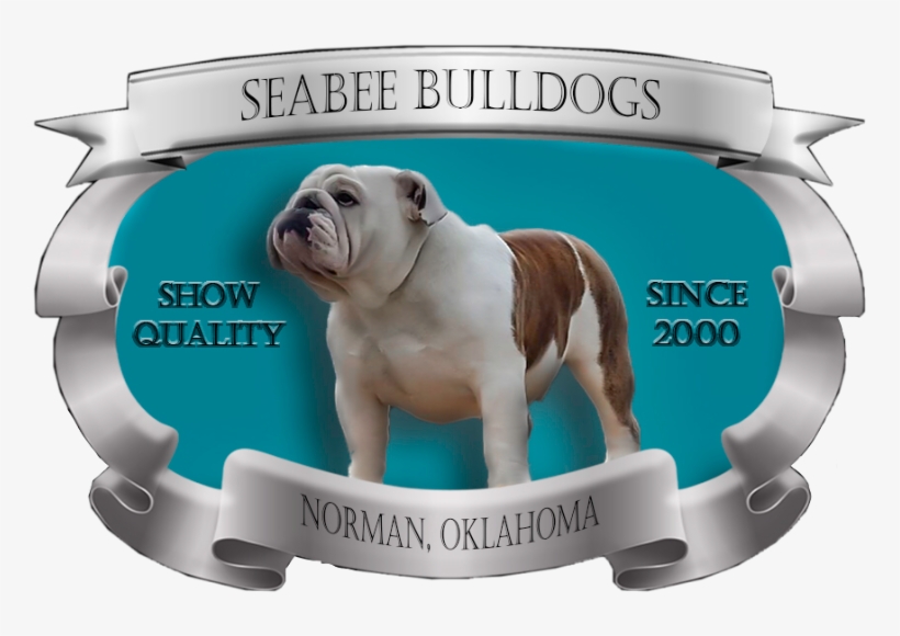 Seabee Bulldogs - Australian Bulldog, transparent png download