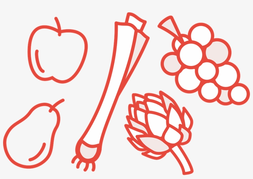 Apple, Pear, Vine, Grape, Artichoke, Leek, Food, Fresh - ภาพ ต้น หอม ลาย เส้น, transparent png download