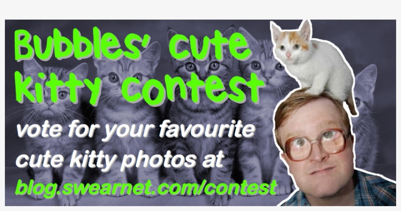 Vote For The Cutest Kitty In Bubbles' Photo Contest - Squitten, transparent png download