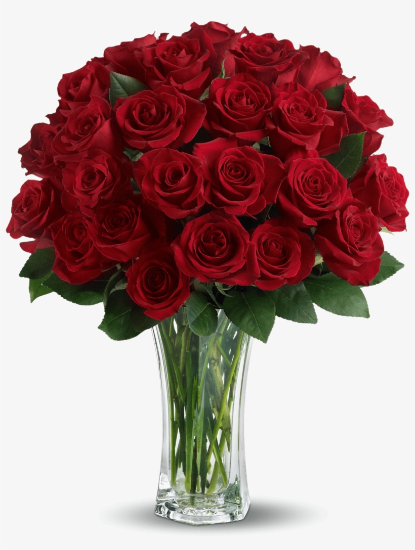 Beautiful Rose Flowers For My Wife atelieryuwa.ciao.jp