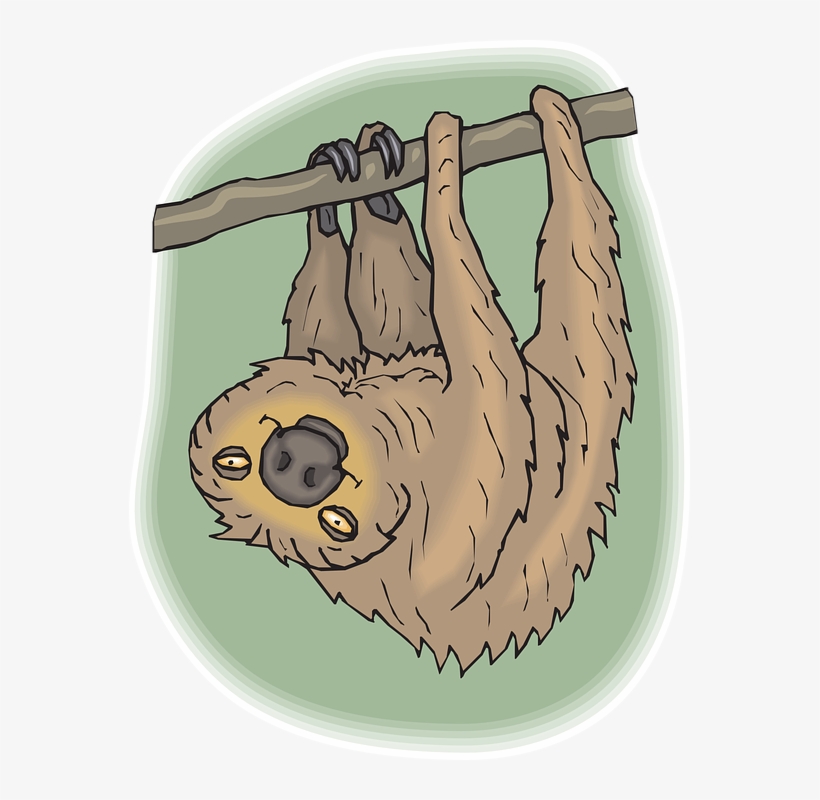 Sloth Clip Art Png Cartoon, transparent png download