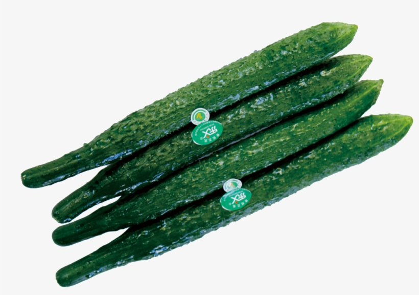 Png De Alta Definicion De Pepino - Nail, transparent png download